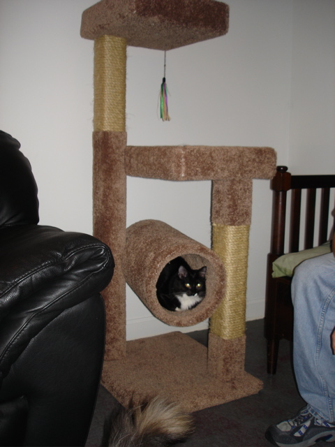 DSC08115.JPG