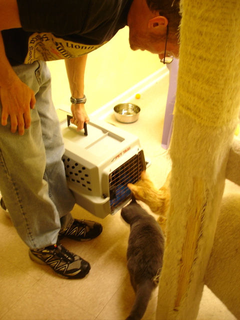 DSC08070.JPG