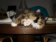 DSC08085.JPG