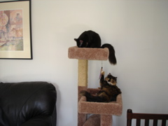 DSC08129.JPG