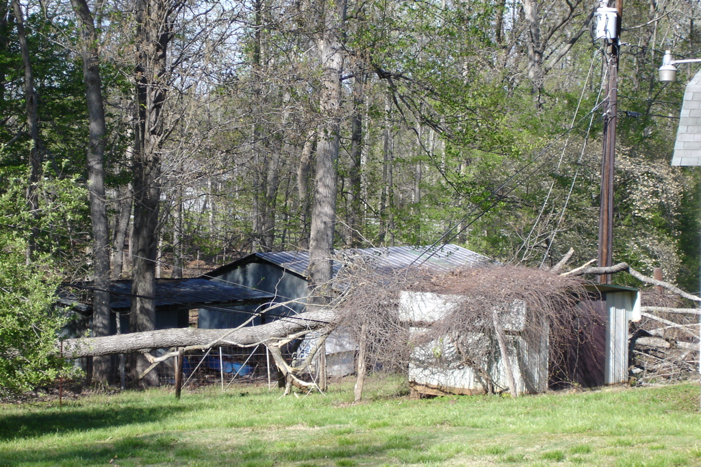 DSC04614.JPG